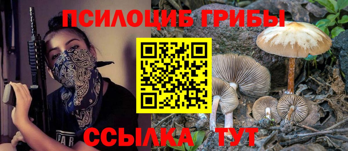 Галлюциногенные грибы MAGIC MUSHROOMS  Вход с VPN  Киров 