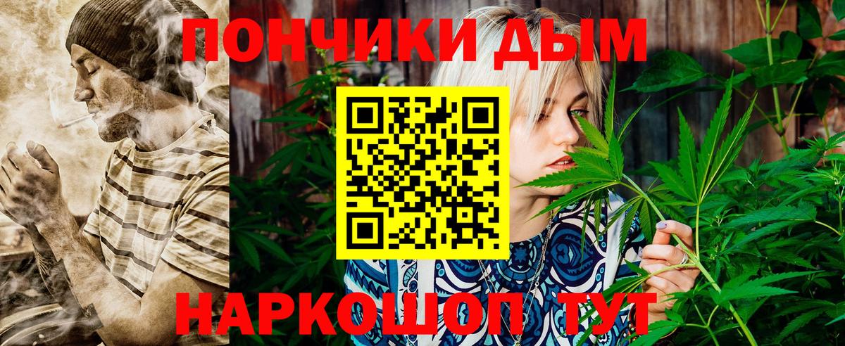 Бошки Шишки семена Киров
